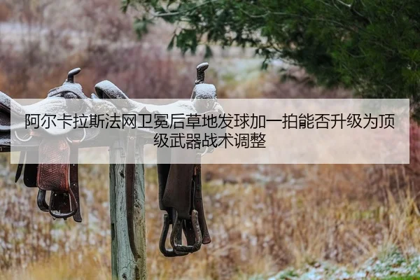 阿尔卡拉斯法网卫冕后草地发球加一拍能否升级为顶级武器战术调整