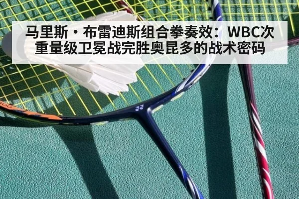 马里斯·布雷迪斯组合拳奏效：WBC次重量级卫冕战完胜奥昆多的战术密码
